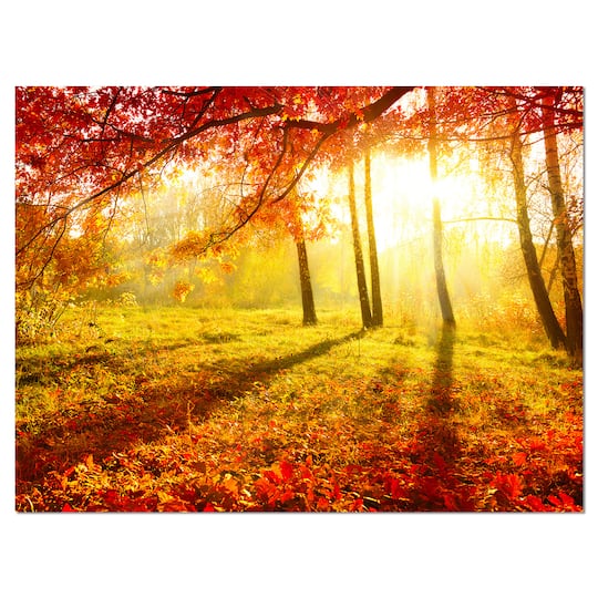 Designart - Yellow Red Fall Trees and Leaves